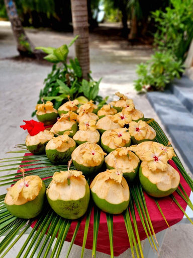 Food & Drinks, Finolhu Beach Guest House, Vaavu Atoll