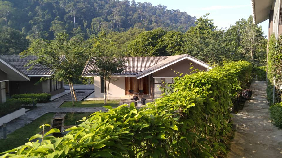Scenery