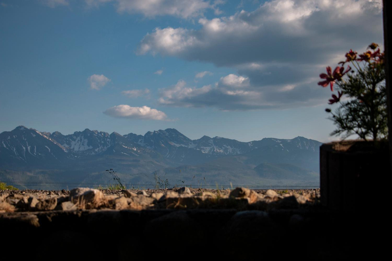Others 5, Pokoje w Gliczarowie, Tatra