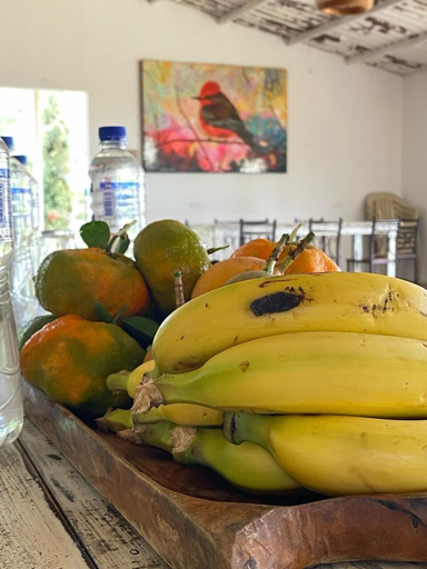 Food & Drinks 5, Mirador del Magdalena Hotel y Glamping, Isnos