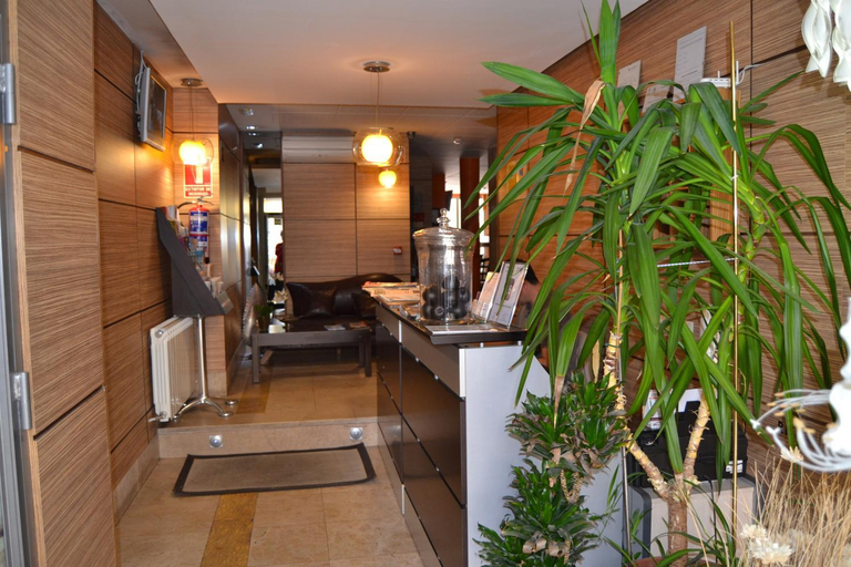 Public Area, Hotel Apartamentos Don Juan I, Madrid