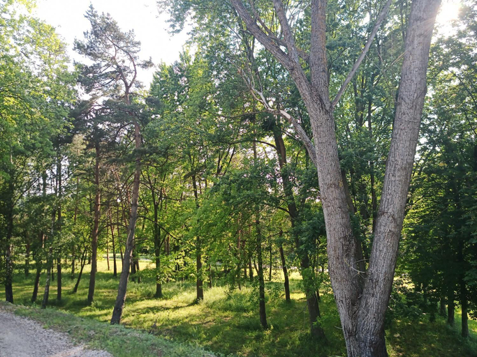 Others 4, Josephus Vendeghaz, Balatonföldvári