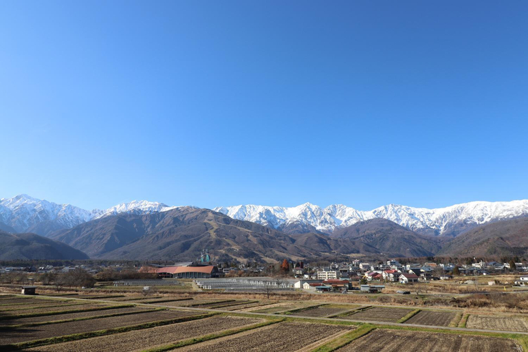 Others 5, Oak Village, Hakuba