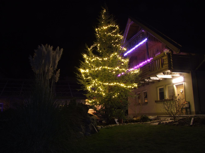 Others 4, Apartments Cebelica, Bohinj