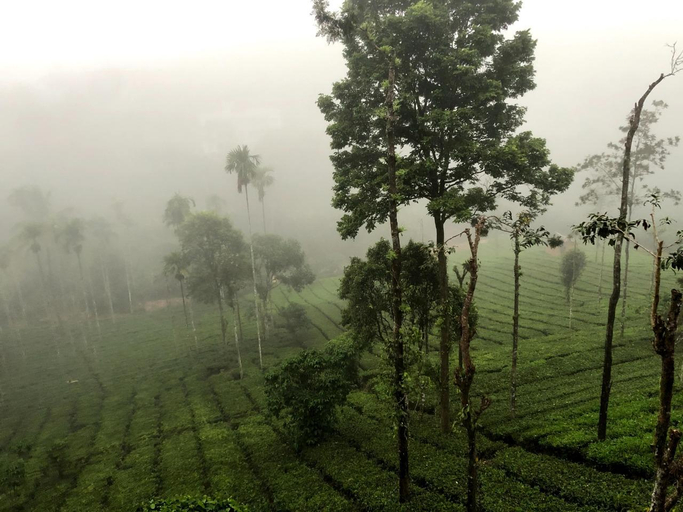 Others 3, Vythiri Stream View, Wayanad