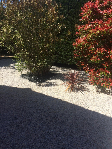 Exterior & Views 4, Chambres Les Passiflores, Charente-Maritime