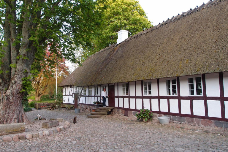 Others 5, Lillemøllens bed & breakfast, Nyborg