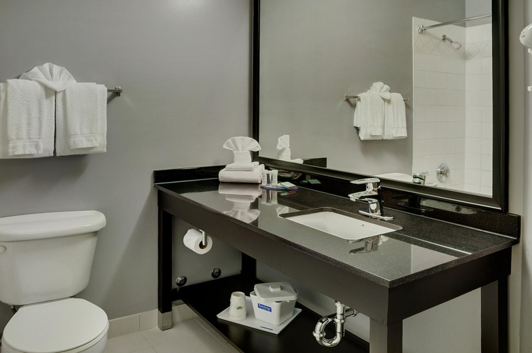 Bathroom 4, Travelodge by Wyndham Sudbury, Greater Sudbury