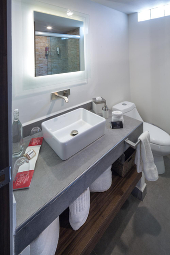 Bathroom 3, FlowSuites WTC, Mexico City