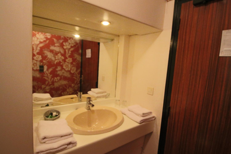 Bathroom 4, Le France, Côtes-d'Armor