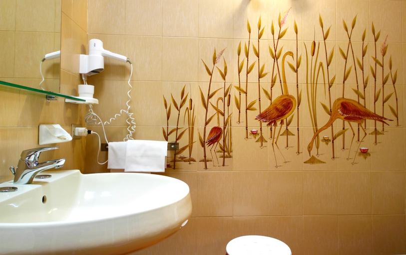 Bathroom 2, Albergo La Quiete, Brescia