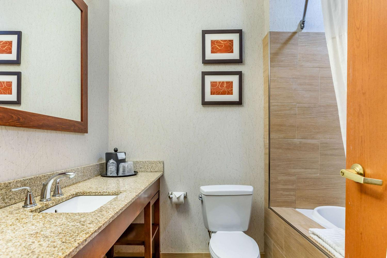 Bathroom 4, Comfort Suites (Southgate), Wayne