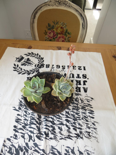 Facilities 5, Camps Bay Studio Guesthouse - Studio, City of Cape Town