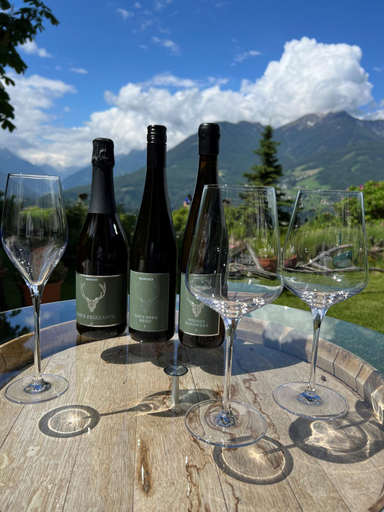 Food & Drinks 3, Hotel Restaurant Grunwalderhof, Innsbruck Land