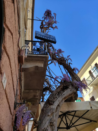 Hotel Glicine, Savona