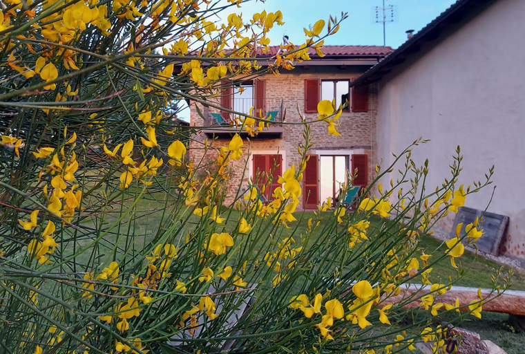 Cascina Nomade - Wine & Scenic Retreat, Cuneo
