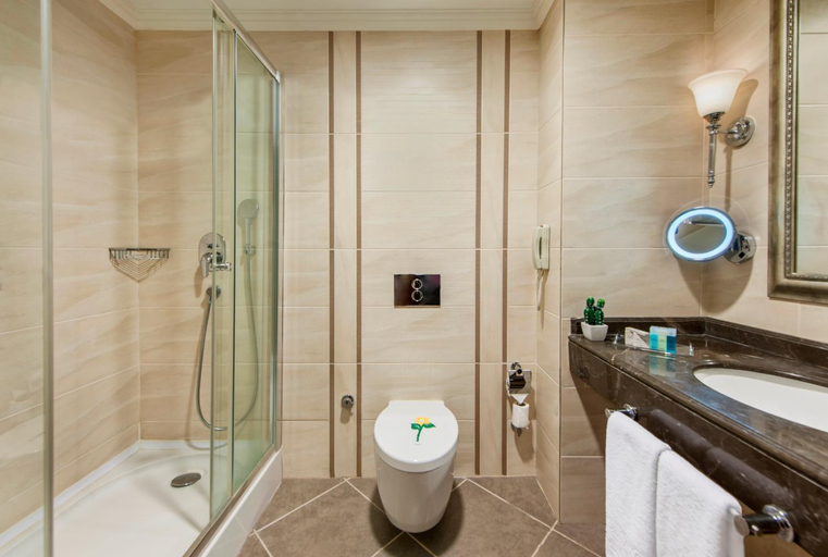 Bathroom 5, Elite World Van Hotel, Merkez