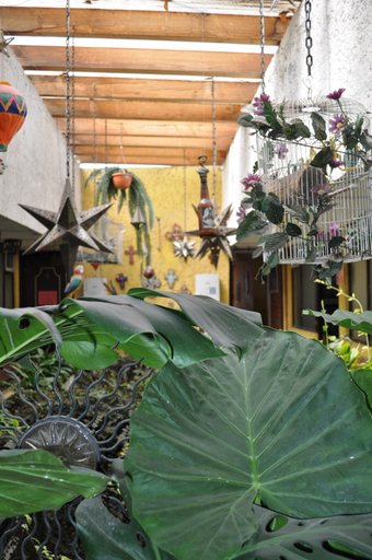 Others 5, Hotel Tolotzin, Toluca