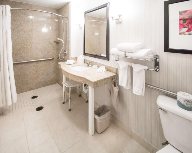 Bathroom 3, Hilton Garden Inn Phoenix/Avondale, Maricopa