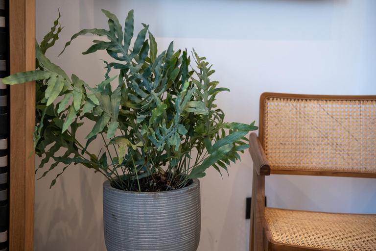 Others 4, Domi Luxury Apartment by Cura Villas, Crete
