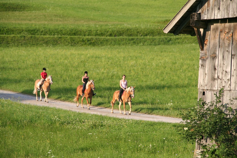Others 5, Ferienhof Obergasser und Bergblick, Spittal an der Drau