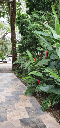 Others 5, Tucan Hotel, Osa