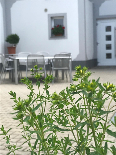 Balcony/terrace 3, Vogelhubergut - Familie Scherleithner, Gmunden