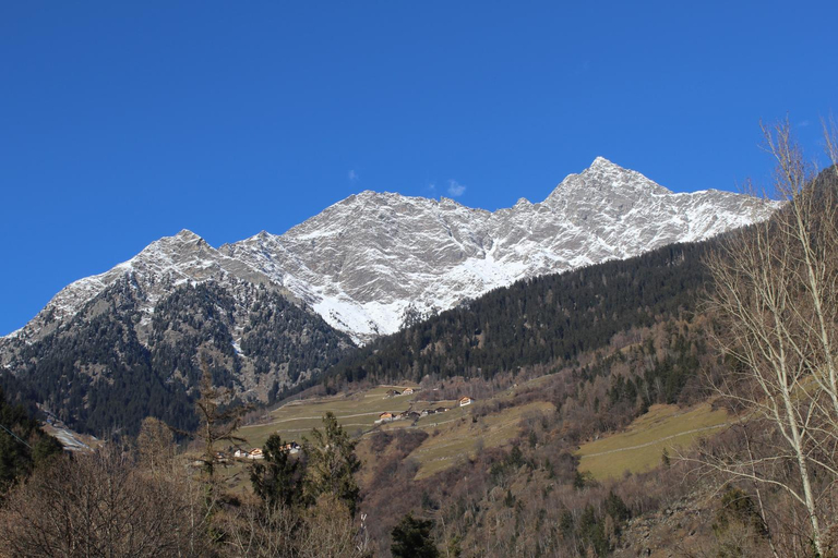 Others 4, Appartements Lenzenhof, Bolzano