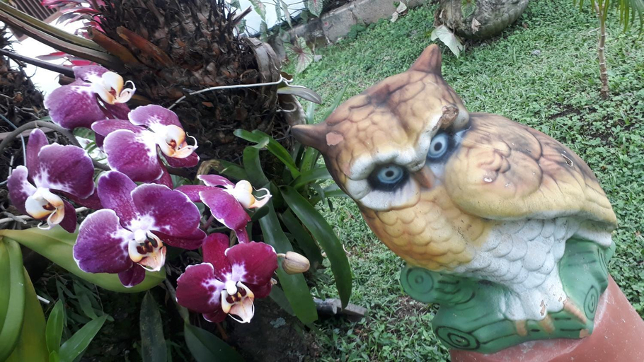 Others 4, Pousada da Geisa, Bertioga