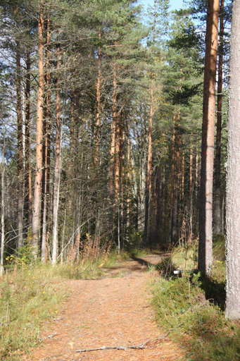 Others 3, Karkausmaen Kammari, Central Finland