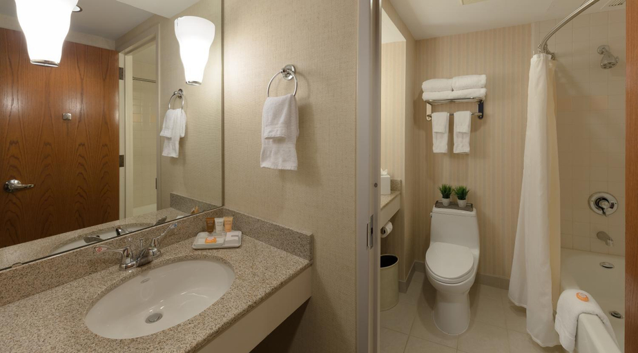 Bathroom 4, The Inn at Virginia Tech and Skelton Conference, Montgomery