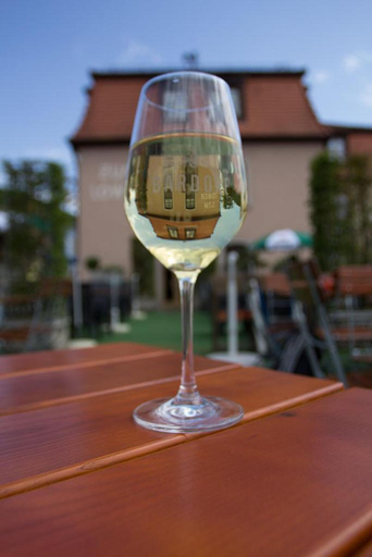 Food & Drinks 5, Hotel Lowen, Würzburg