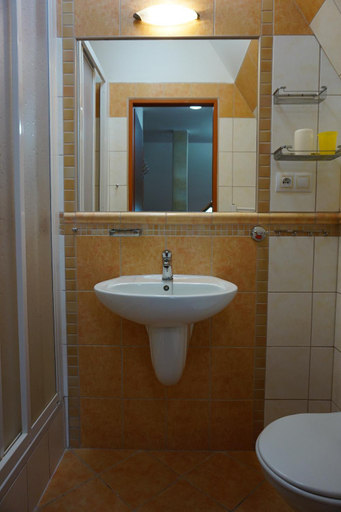 Bathroom 2, Penzion Martin, Trutnov