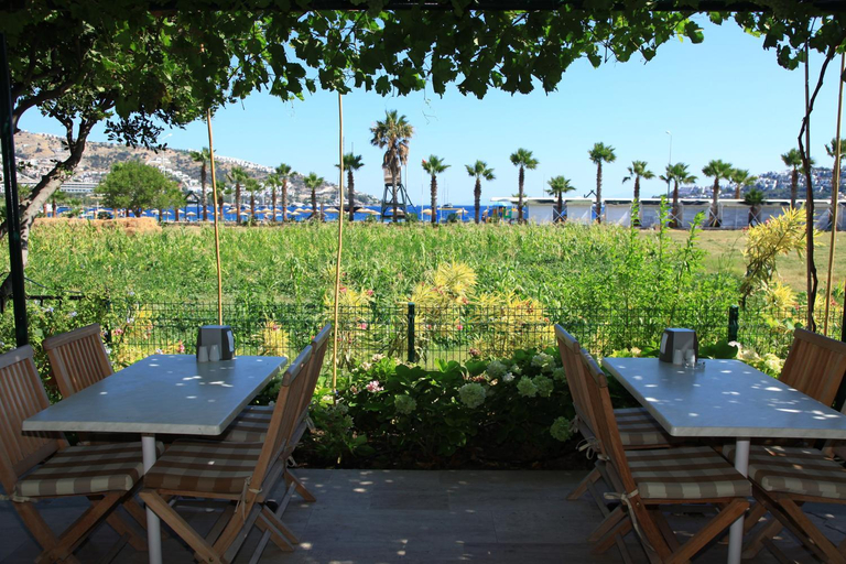 Others 5, Catamaran Hotel, Bodrum