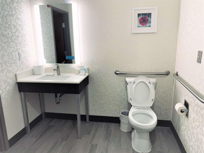 Bathroom 4, Hampton Inn Fort Stockton, Pecos