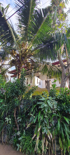 Others 4, Wimala B&B, Bentota
