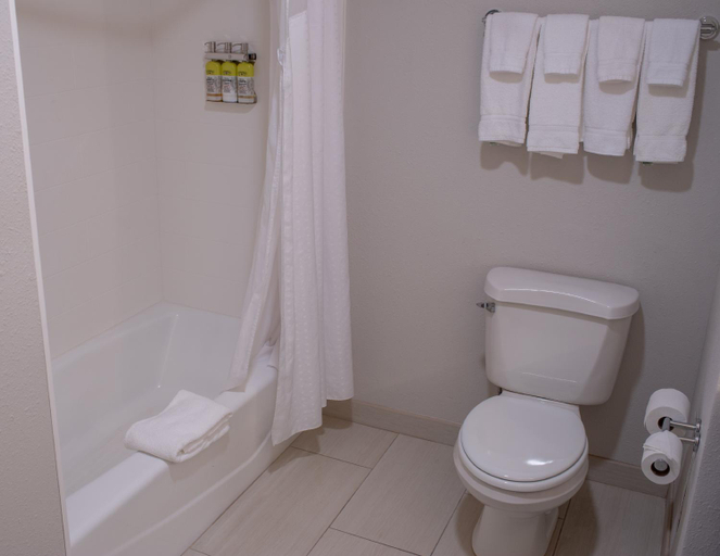 Bathroom 5, Holiday Inn Express & Suites CONOVER (HICKORY AREA) by IHG, Catawba