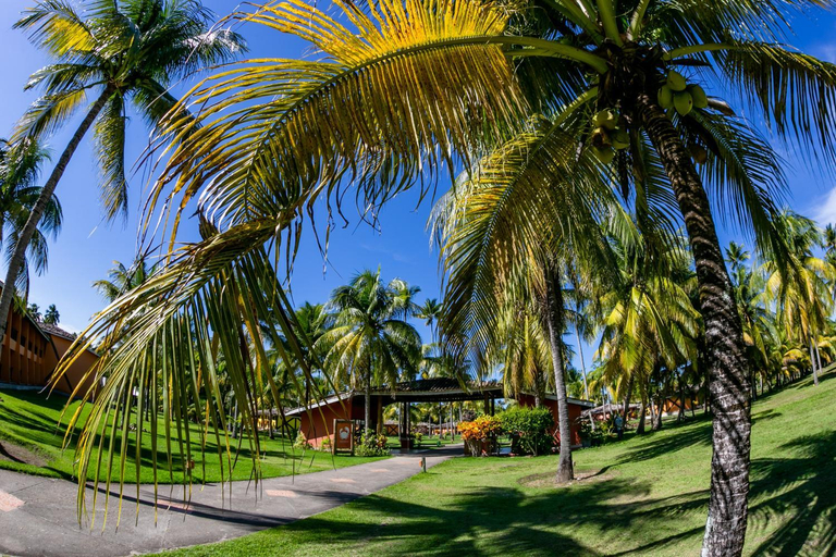 Public Area 5, Patachocas, Cairu