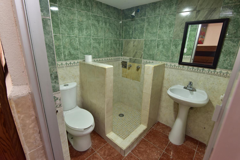 Bathroom, Nuve Express Abasolo, Torreón