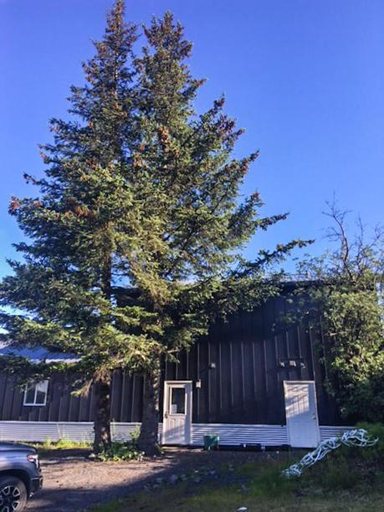 Others 1, The Vue B&B, Kenai Peninsula
