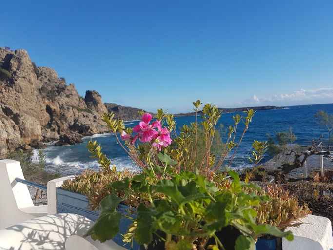 Others 4, Taverna Akrogiali, Crete