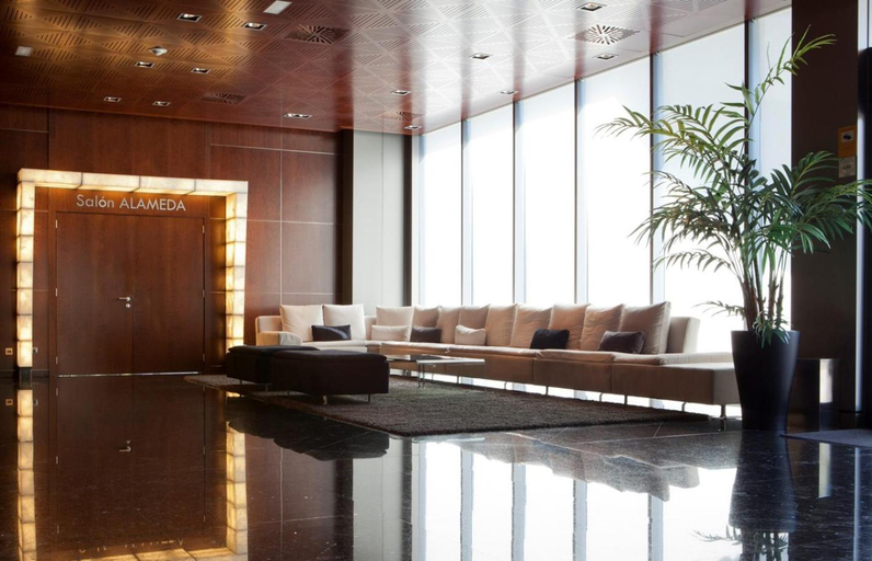Public Area 5, Hotel Maydrit Airport, Madrid