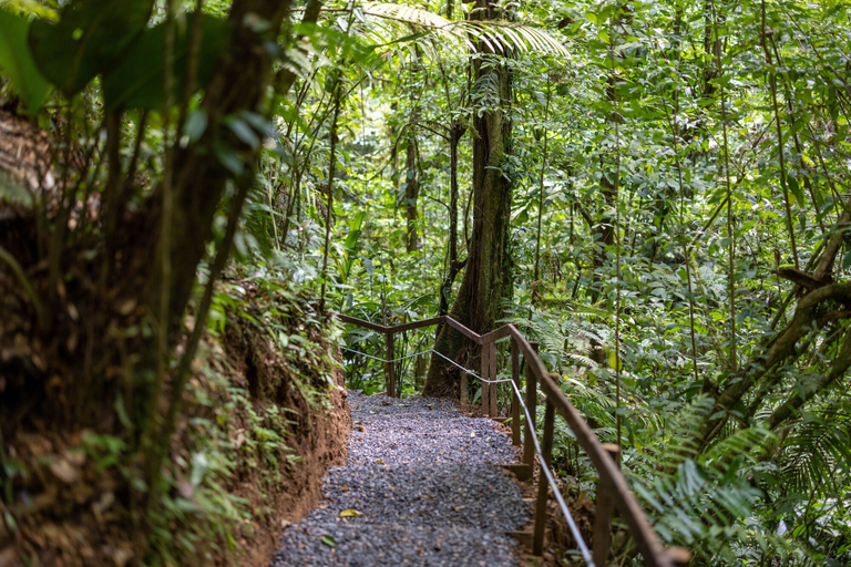 Others 5, Cabañas Caeli, Peaceful Rainforest Retreat with Stunning Views, San Ramón