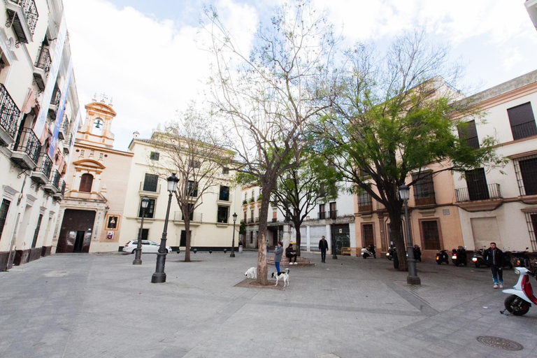 Others 2, GoToSeville Molviedro Suites, Sevilla