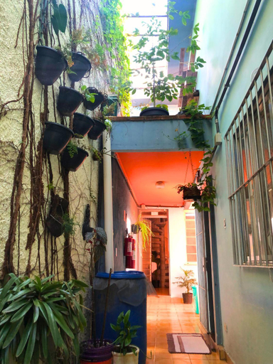 Others 2, Micasa Hostel, São Paulo