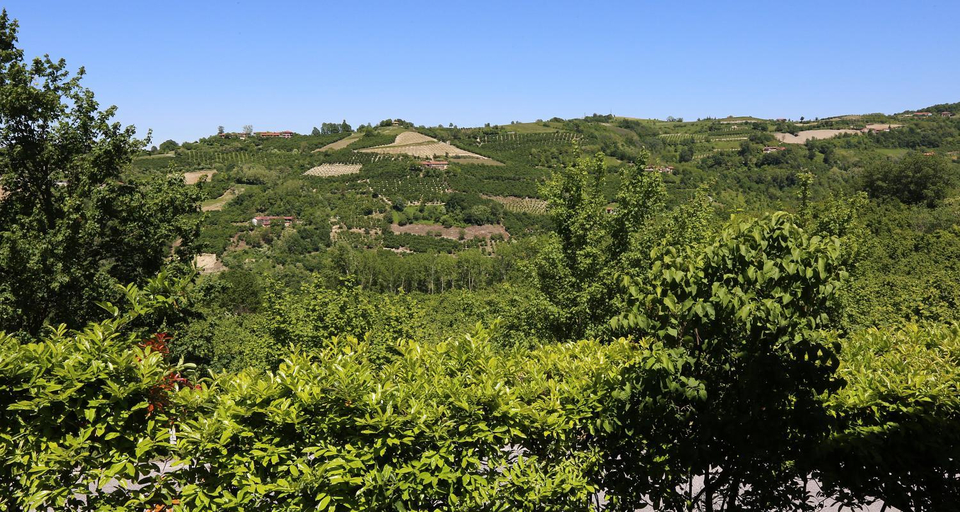 Others 4, Agriturismo Al Brich, Cuneo