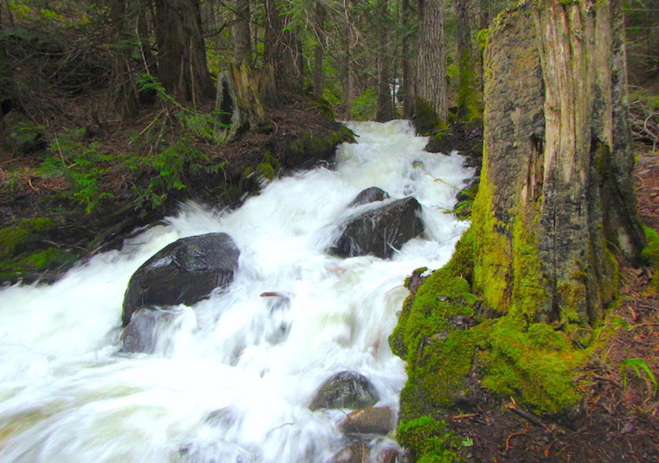 Others 5, Logden Lodge, Central Kootenay