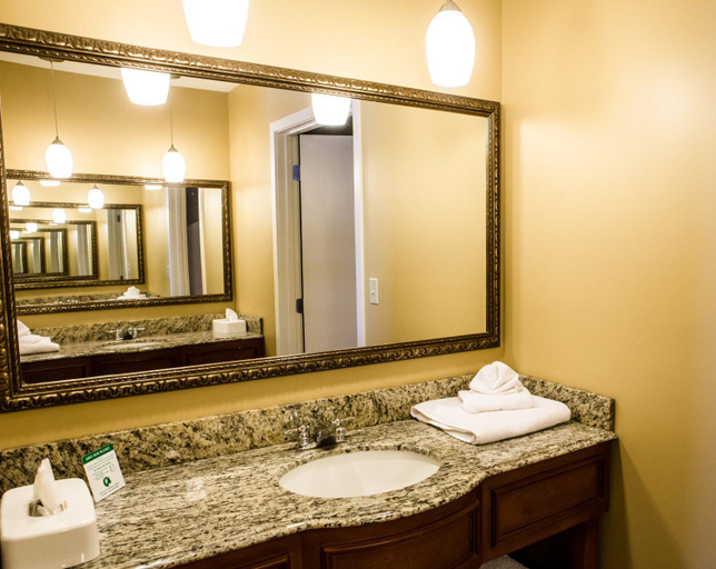 Bathroom, Jackson Park Inn, an Ascend Collection Hotel, Pulaski
