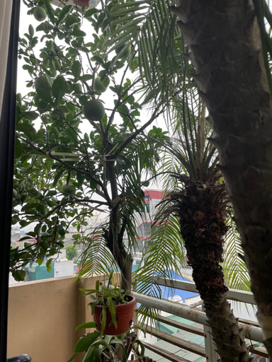 Others 5, May Residence-800m from Opera House, Hai Bà Trưng