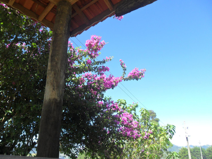 Others 5, Fazenda Monte Verde a Morada do Muriqui, São José dos Campos
